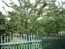 exp-zr-2009 587